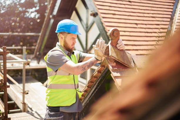 Best Storm Damage Roof Repair  in Cold Springs, NV